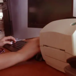 Distributor Printer Zebra Indonesia